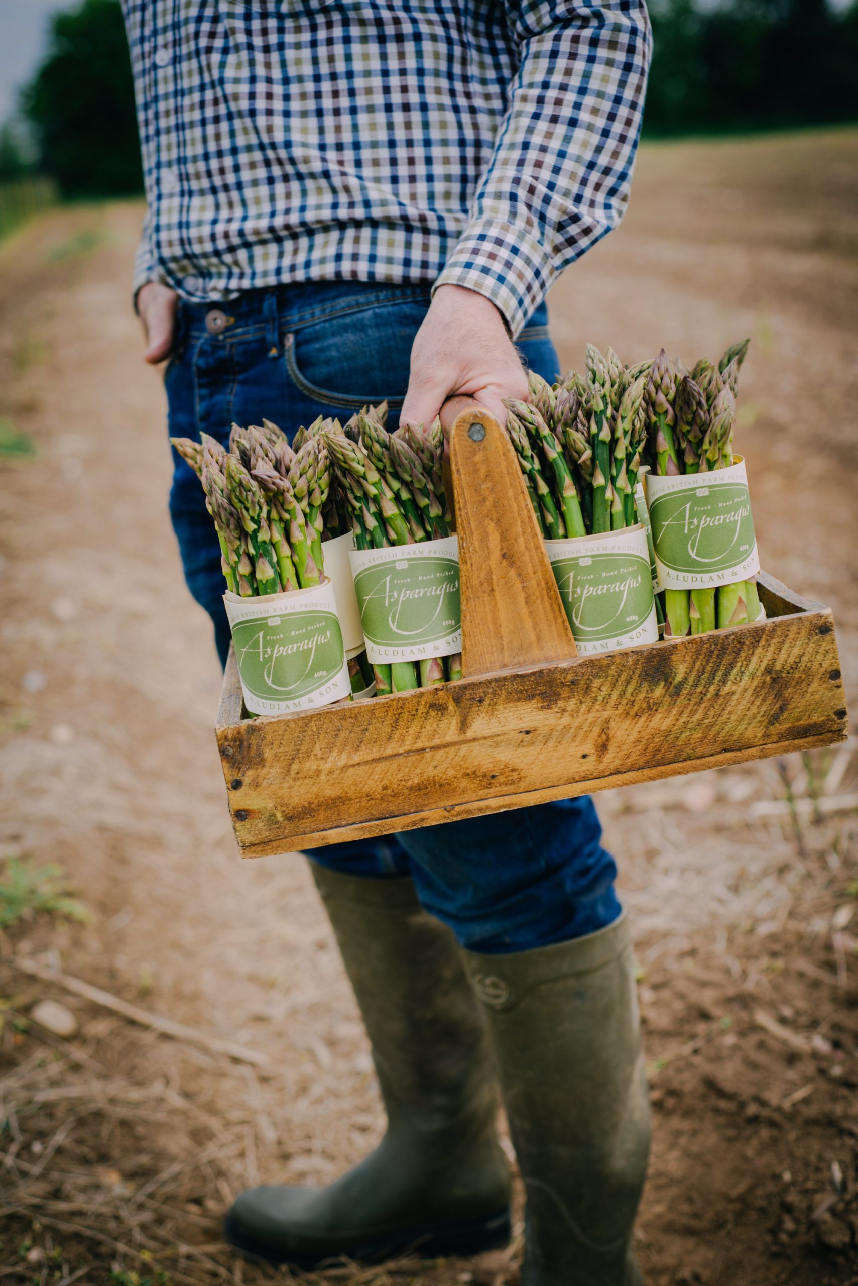 A man with his head out of shot holding a wooden container full of bundles of asparagus